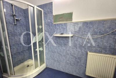 AX1154 Elisabetin, Hala Industriala Pentru Diferite Activitati - 7