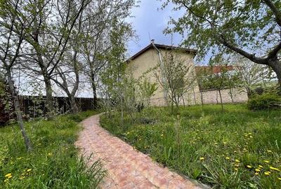 Apartament cu 10 camere decomandat, mobilat în Mineri - 4