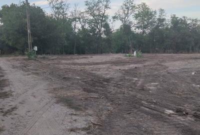 Teren de 1800 mp, în Bogdana - 3