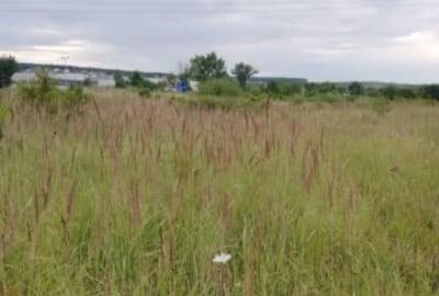 Teren extravilan 1600mp spre vanzare in Vestem - 4