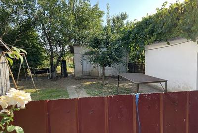 Casă cu 3 camere în Apa - 1