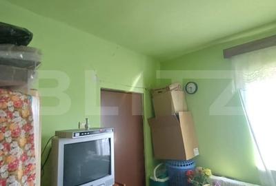 Casa renovabila, 2 camere, zona Cetate - 11