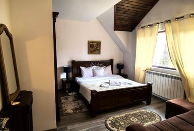 Proprietate Breaza de vis , zona de vis , prezentarea agentului , de vis Proprietate Breaza de vis , zona de vis , prezentarea agentului , de vis - 21