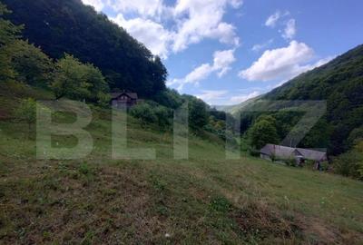 Casă cu 3 camere cu Teren 25000 Mp în Năsăud - 2