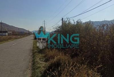 Teren Construcții intravilan de 4450 mp, în Călimănești