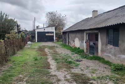 Spațiu comercial, în Horia - 2