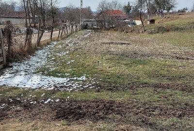 Teren de 1305 mp, în Valea Crișului - 5