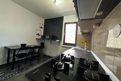 Apartament cu 3 camere decomandat în Podu Roș - 5