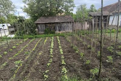 Casa de vanzare!! Casa de vanzare!! - 2