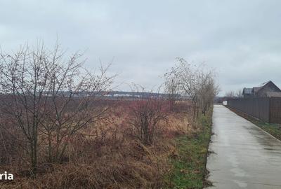 Spațiu comercial, în Corbeanca - 2