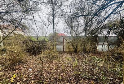 Casă cu teren de 1.463 mp în Ghizela, Timiș – Comision 0% - 2