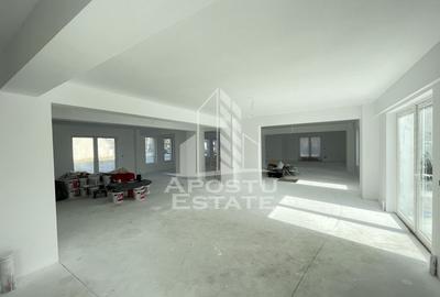 Spatiu comercial 238 mp, zona Lipovei , artera circulata - 3