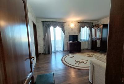 Proprietate Unica de Vanzare in Visani, Iasi – Resedinta si Investitie Turistica - 11