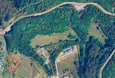Teren intravilan cu vedere panoramică  4230mp - Mediaș - 2