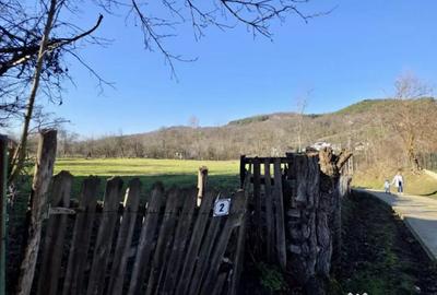 Teren de 4549 mp, în Gura Vitioarei - 9