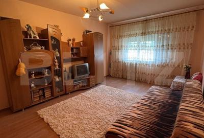 Apartament cu 4 camere decomandat în Craiovița Nouă - 4