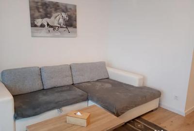 Apartament cu 3 camere decomandat în Șelimbăr - 11