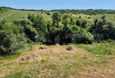 Teren intravilan, ideal constructie casa, 12 ari in zona Va - 2