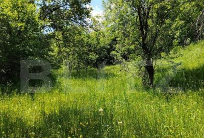 Teren intravilan Pietrosita - 3