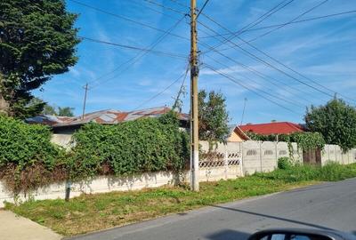 Vanzare Teren  construibil Cernica 10000mp - 1