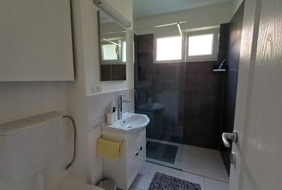 Apartament cu 2 camere semidecomandat, mobilat în Take Ionescu - 3