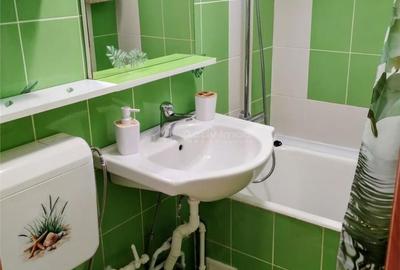 Apartament cu 2 camere în Șega - 8