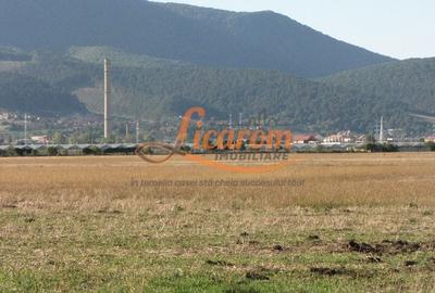 Teren Construcții intravilan de 240000 mp, în Exterior Est - 10
