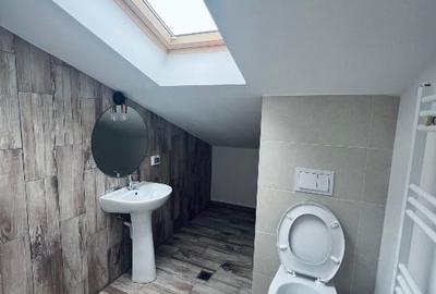 Apartament cu 2 camere decomandat în Mogoșoaia - 7
