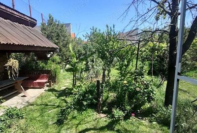 Casă cu 4 camere cu Teren 710 Mp în Central - 6