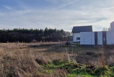 TEREN CONSTRUIBIL POZITIE EXCELENTA - 3