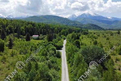 Teren intravilan de vanzare in Avrig zona Valea Avrigului - 5