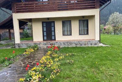 Casă cu Teren 2200 Mp în Horia - 2