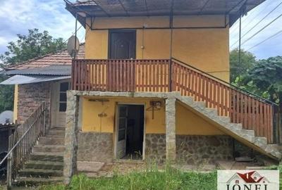 Casa de vanzare/schimb in Blandiana - 7