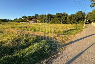 OPORTUNITATE la Ocna Sibiului - Teren Casă/Cabană lângă Lacul Fără Fund - 4