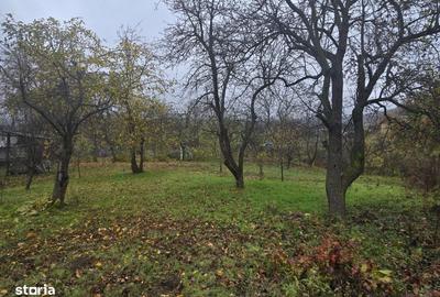 Teren de 500 mp, în Tomești