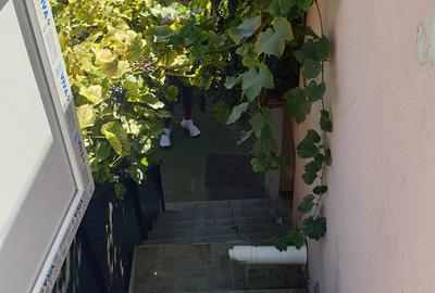 Casa Plevnei,Primaria Sector 6 - 12