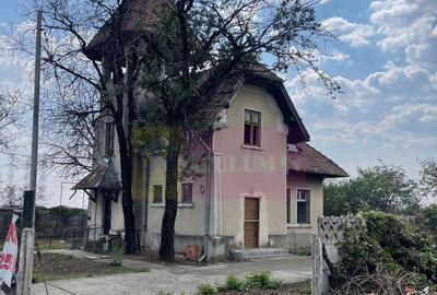 Casa de vanzare (vad comercial) - 2