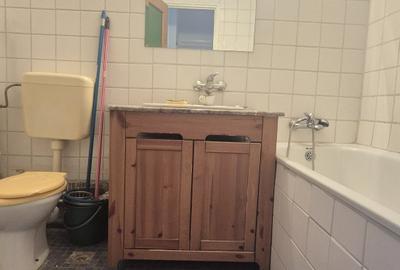 Sebastian, parc, Kaufland, Vulcan - 9