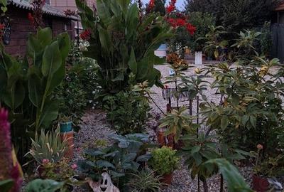 Casă cu 6 camere cu Teren 1412 Mp în Palazu Mare - 3