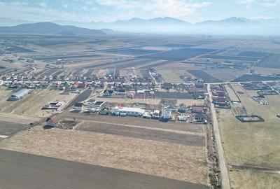 Teren Extravilan, P.U.Z. inceput - 4