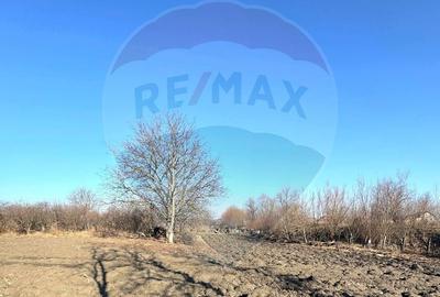 Spațiu comercial, în Săucești - 2