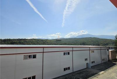 Spatiu Industrial -  6500 mp - Productie - Depozitare - 2