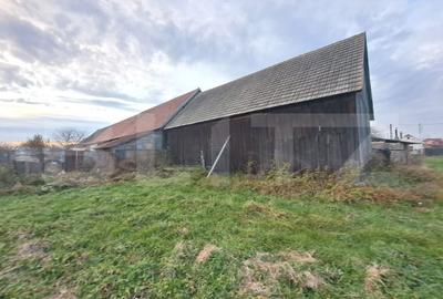 Casa de vanzare, 5 camere, teren generos de 1.290 m², zona Dumbravita - 4