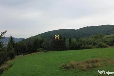 Teren de 5023 mp, în Voroneț - 16