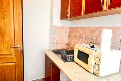 Garsoniera Dristor - metrou, stradal, mobilata si utilata complet, renovata - 14