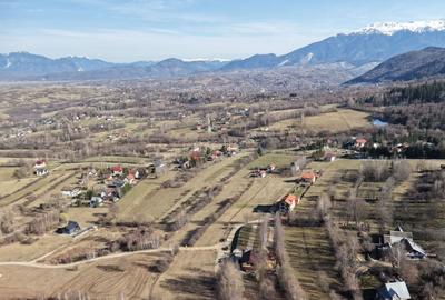 Teren Construcții intravilan de 4043 mp, în Predeluț - 29