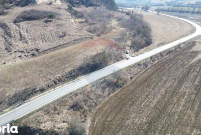 Teren de 2000 mp, în Moșna - 14