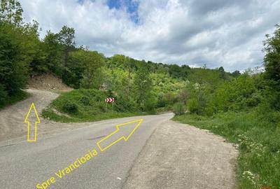 Casă cu 6 camere cu Teren 3426 Mp în Vrâncioaia - 4