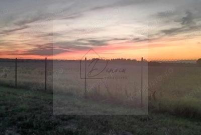 Teren intravilan 2078 mp langa padure - Piscu Ciolpani Snagov - 3