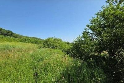 Teren Duda Epureni, ID: R2609594 - 4